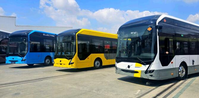 Volvo Artık Mısır’da Üretilecek !